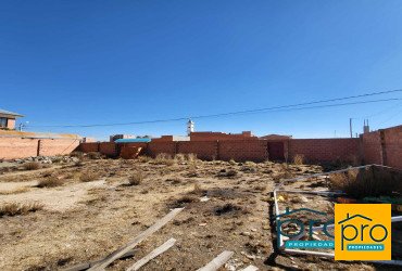 🏜️ Terrenos en Mercedario